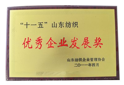 优秀企业发展奖